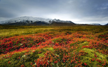 Картинка природа луга равнина луг горы