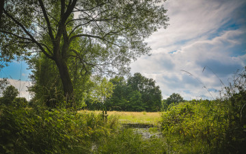 Картинка природа пейзажи простор