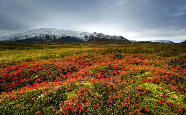 Обои картинки фото природа, луга, равнина, луг, горы