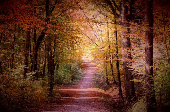 Обои картинки фото природа, дороги, простор