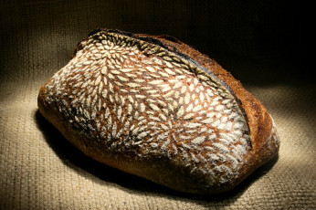 Картинка еда хлеб +выпечка снедь