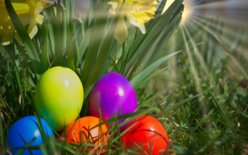 Картинка праздничные пасха трава разноцветные яйца