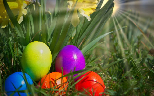 Обои картинки фото праздничные, пасха, трава, разноцветные, яйца