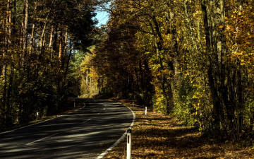 Картинка природа дороги шоссе