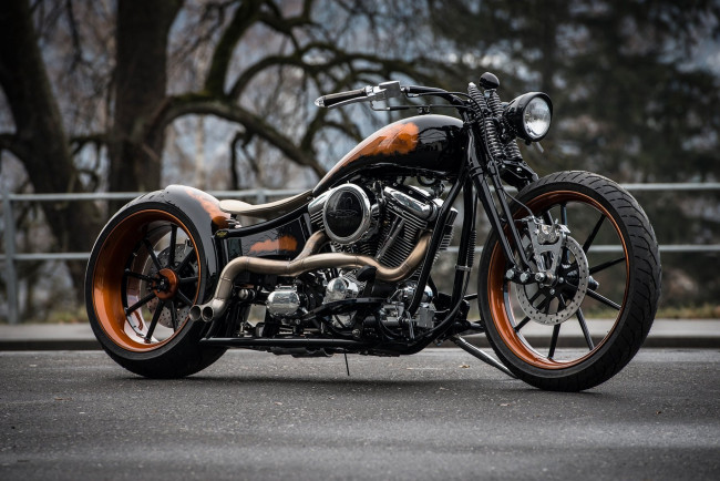 Обои картинки фото мотоциклы, customs, кастомизированный, тюнингованый, мотоцикл, крутой, байк, железный, конь, который, даёт, свободу, ветер, в, лицо, и, волосы, по, ветру