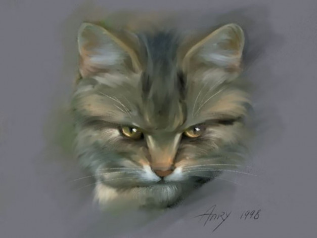 Обои картинки фото кот, рисованные, животные, коты