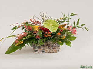 Картинка цветы букеты композиции