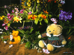 Картинка разное игрушки