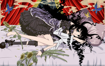 Картинка аниме xxxholic