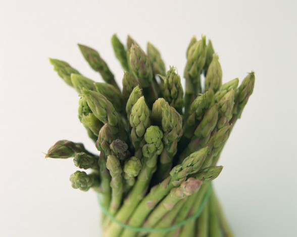 Обои картинки фото еда, спаржа