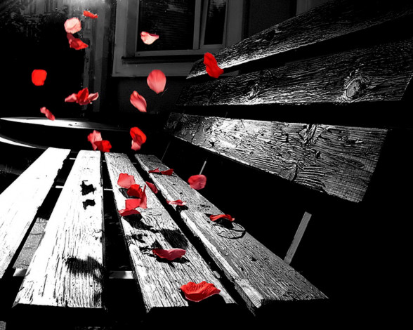 Обои картинки фото разное, другое