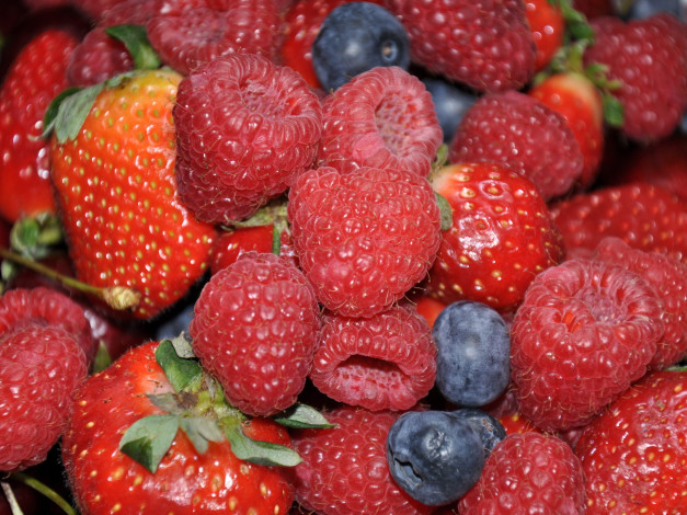 Обои картинки фото еда, фрукты, ягоды