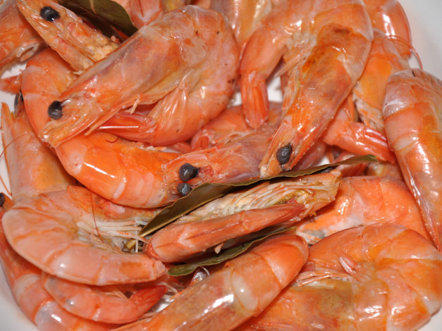 Обои картинки фото еда, рыба, морепродукты, суши, роллы