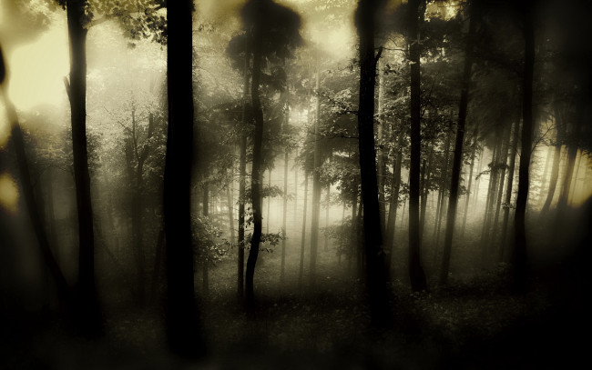 Обои картинки фото 3д, графика, nature, landscape, природа