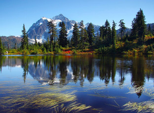 Картинка природа реки озера деревья вершина озеро