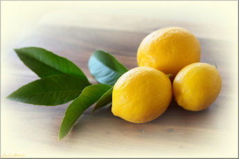 Картинка еда цитрусы листья