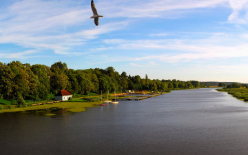 Картинка природа реки озера польша мальборк рекa ногат