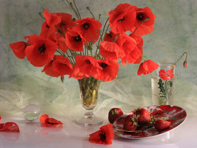 Обои картинки фото еда, натюрморт, маки, клубника