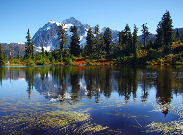 Обои картинки фото природа, реки, озера, деревья, вершина, озеро