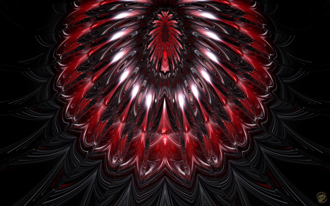 Обои картинки фото 3д, графика, fractal, фракталы, фон, узор, цвета