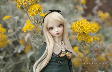 Картинка разное игрушки кукла