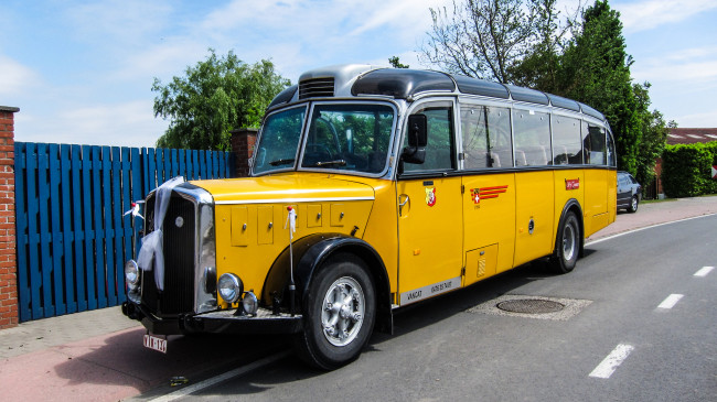 Обои картинки фото sauer autobus in west vleteren, автомобили, автобусы, выставка, автошоу, ретро, история