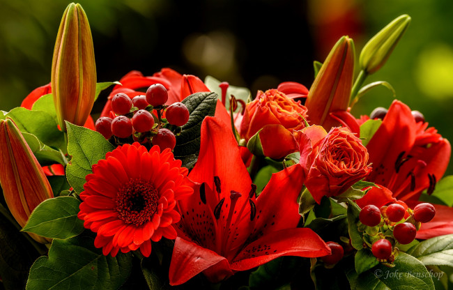 Обои картинки фото цветы, букеты,  композиции, герберы, лилии