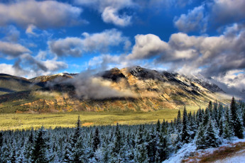 Картинка природа пейзажи облака лес горы