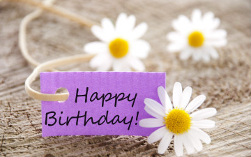 Картинка праздничные день+рождения ромашки цветы flowers birthday happy