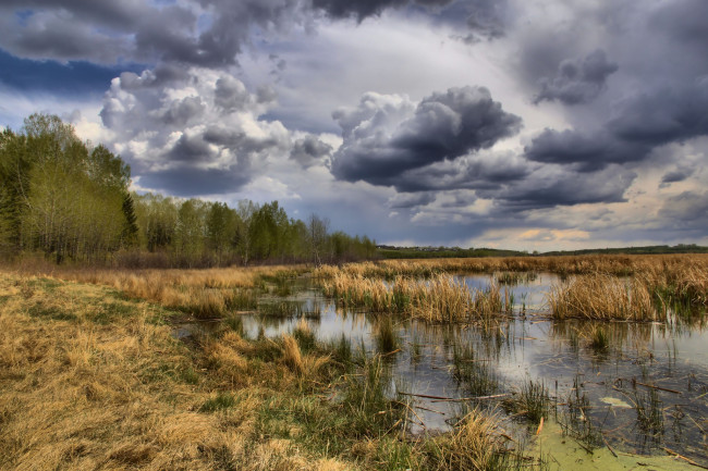 Обои картинки фото природа, реки, озера, лес, тучи, река