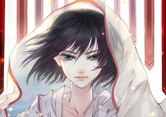 Картинка аниме shingeki+no+kyojin микаса