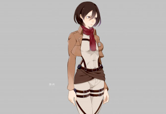 Картинка аниме shingeki+no+kyojin микаса