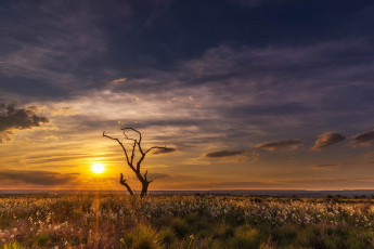 Картинка природа восходы закаты рассвет