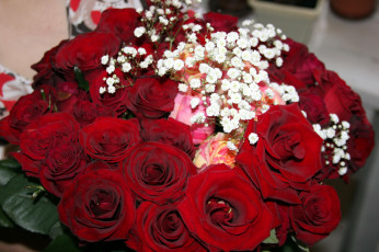 Картинка цветы розы много