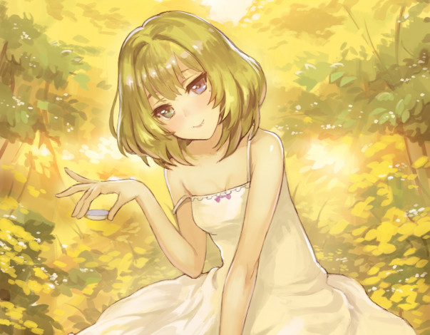 Обои картинки фото аниме, idolm@ster, девушка