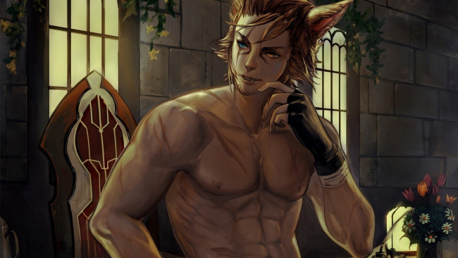 Обои картинки фото фэнтези, существа, кубики, прес, парень, тело, ушки