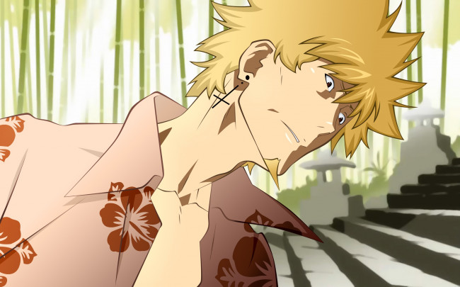 Обои картинки фото аниме, bakemonogatari, фон, парень, взгляд