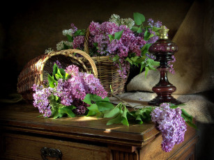 Картинка цветы сирень корзинки лампа ветки