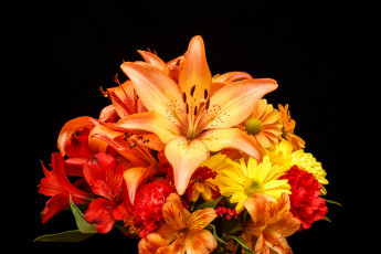 Картинка цветы букеты +композиции букет разноцветных лилий на черном фоне