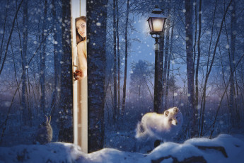 Картинка разное компьютерный+дизайн девушка фон взгляд дверь писец заяц