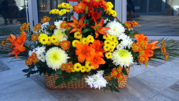 Картинка цветы букеты +композиции хризантемы лилии