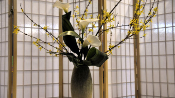 Картинка цветы букеты +композиции каллы форзиция