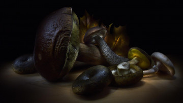 Картинка еда грибы +грибные+блюда подберёзовик чернушки белый