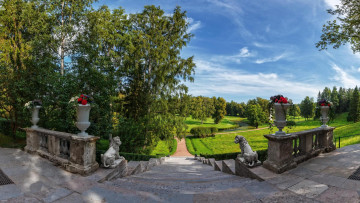 Картинка природа парк пейзаж россия павловский санкт-петербург