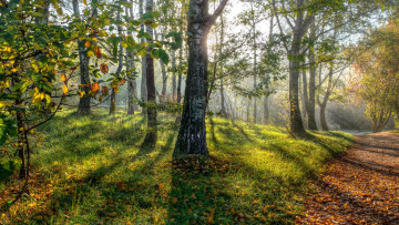 Картинка природа парк россия москва кузьминки