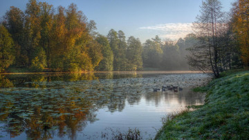 Картинка природа парк закат москва кузьминки россия водоём