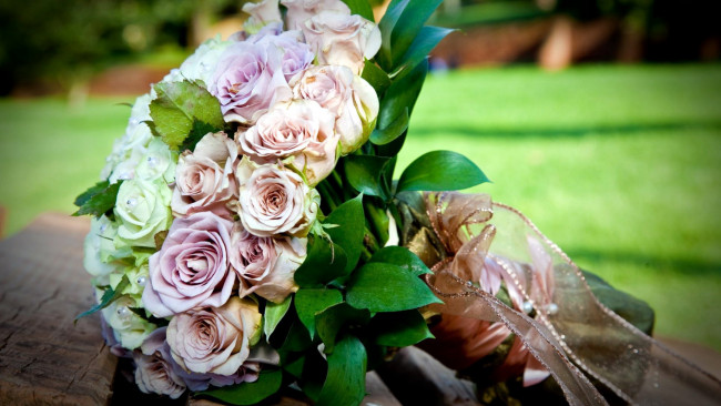 Обои картинки фото цветы, розы, бутоны, букет, лента