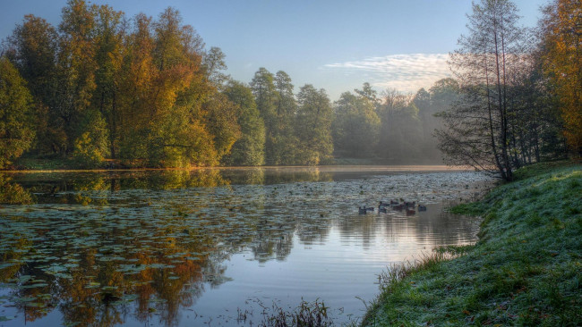 Обои картинки фото природа, парк, закат, москва, кузьминки, россия, водоём