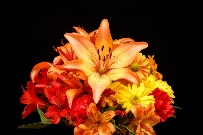 Обои картинки фото цветы, букеты,  композиции, букет, разноцветных, лилий, на, черном, фоне