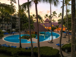 Картинка интерьер бассейны +открытые+площадки курорт пальмы бассейн